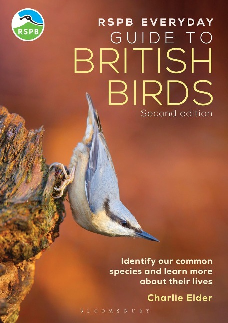 RSPB Everyday Guide to British Birds: Identify our common species and learn more about their lives