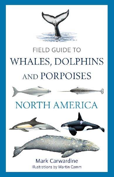 Field Guide to Whales, Dolphins and Porpoises of North America