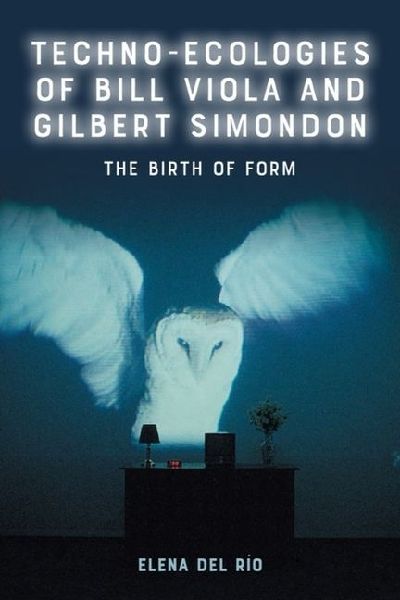 Techno-Ecologies of Bill Viola and Gilbert Simondon: The Birth of Form