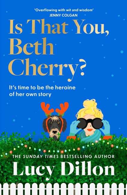 Is That You, Beth Cherry?: the warm and witty new novel from the author of Irresponsible Adult