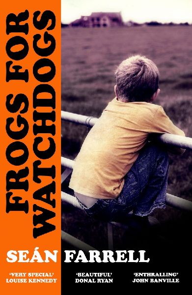 Frogs for Watchdogs: A stunning novel that will live long in my imagination DONAL RYAN