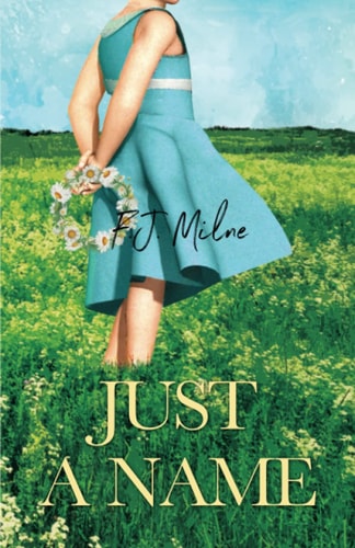 Just a Name A Novel