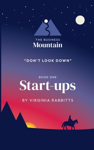 The Business Mountain - Don't Look Down Startups