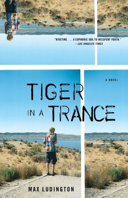 Tiger in a Trance: A Novel