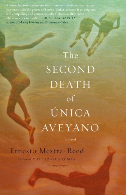 The Second Death of Unica Aveyano: A Novel
