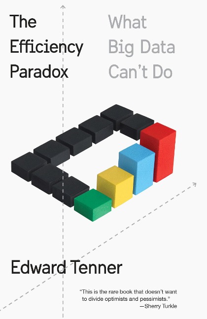 The Efficiency Paradox: What Big Data Cant Do