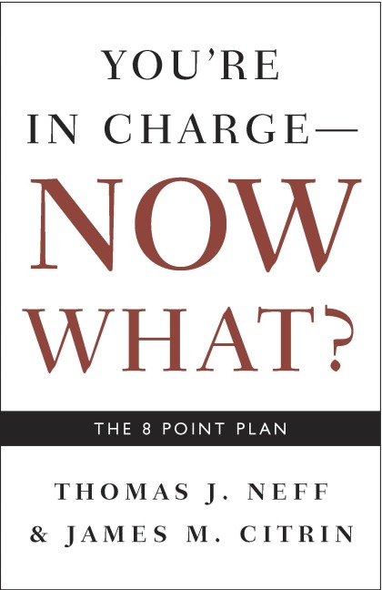 Youre in Charge, Now What?: The 8 Point Plan