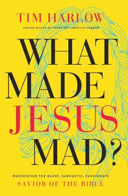 What Made Jesus Mad?*: Rediscover the Blunt, Sarcastic, Passionate Savior of the Bible