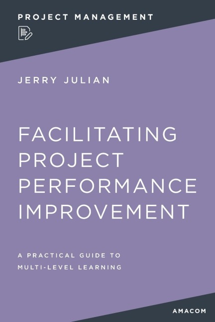 The Facilitating Project Performance Improvement: A Practical Guide to Multi-Level Learning