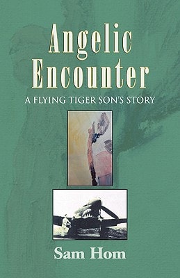 Angelic Encounter A Flying Tiger Son's Story