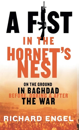 A Fist In the Hornet's Nest On the Ground In Baghdad Before, During and After the War