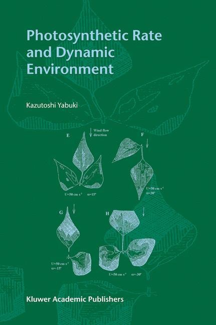 Photosynthetic Rate and Dynamic Environment