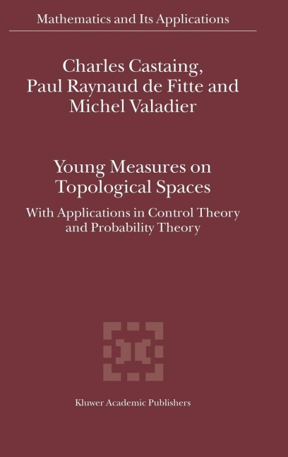 Young Measures on Topological Spaces: With Applications in Control Theory and Probability Theory