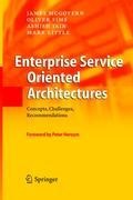 Enterprise Service Oriented Architectures: Concepts, Challenges, Recommendations