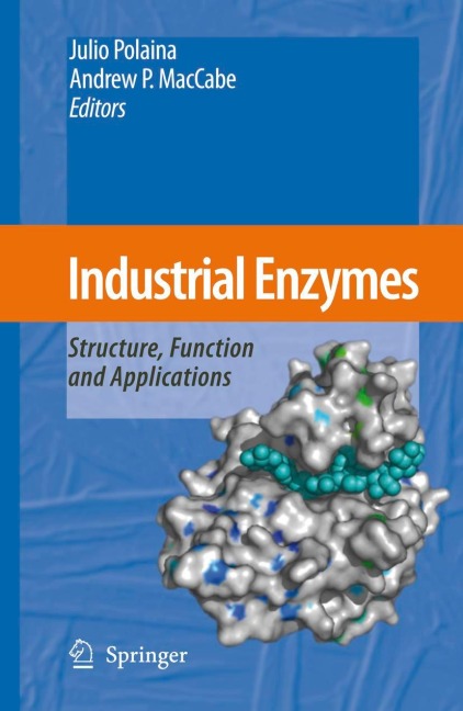 Industrial Enzymes: Structure, Function and Applications