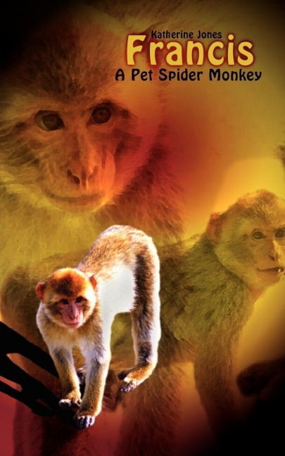Francis, A Pet Spider Monkey