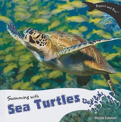 Swimming with Sea Turtles
