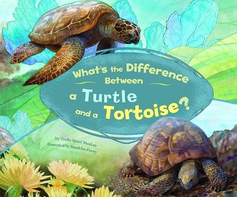 Whats the Difference Between a Turtle and a Tortoise?