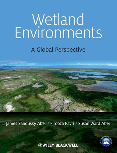 Wetland Environments A Global Perspective