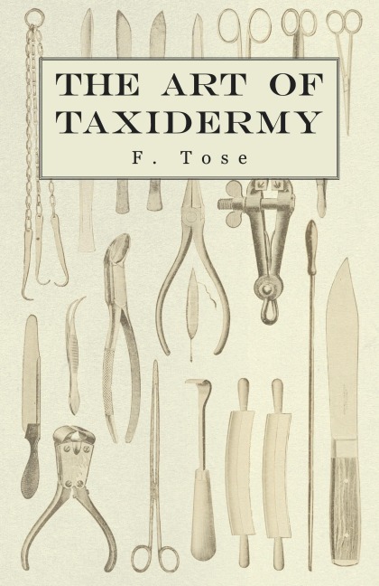 The Art of Taxidermy