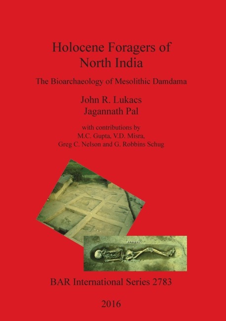 Holocene Foragers of North India: The Bioarchaeology of Mesolithic Damdama