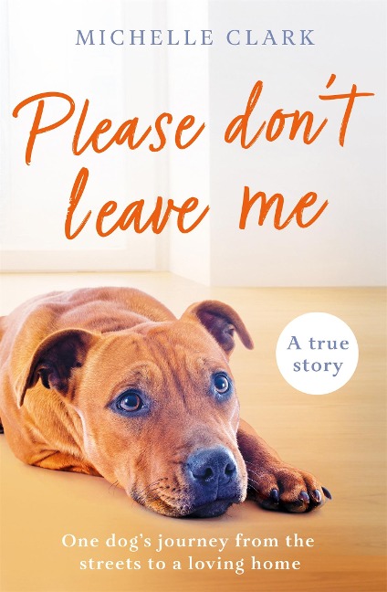 Please Dont Leave Me: The heartbreaking journey of one man and his dog