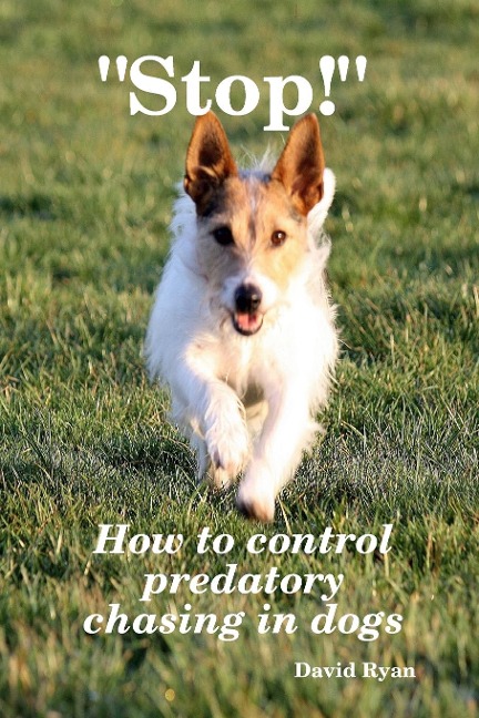 Stop! How to control predatory chasing in dogs