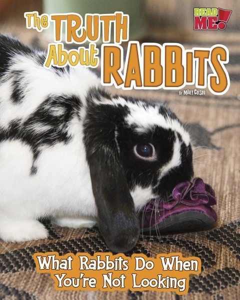 The Truth about Rabbits: What Rabbits Do When Youre Not Looking
