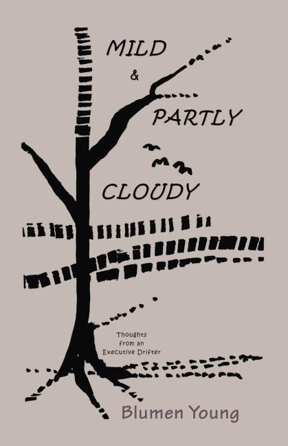 Mild and Partly Cloudy: Thoughts from an Executive Drifter