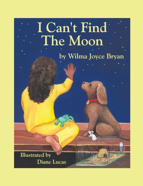 I Cant Find the Moon