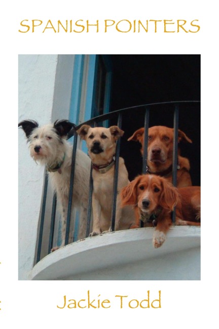 Spanish Pointers