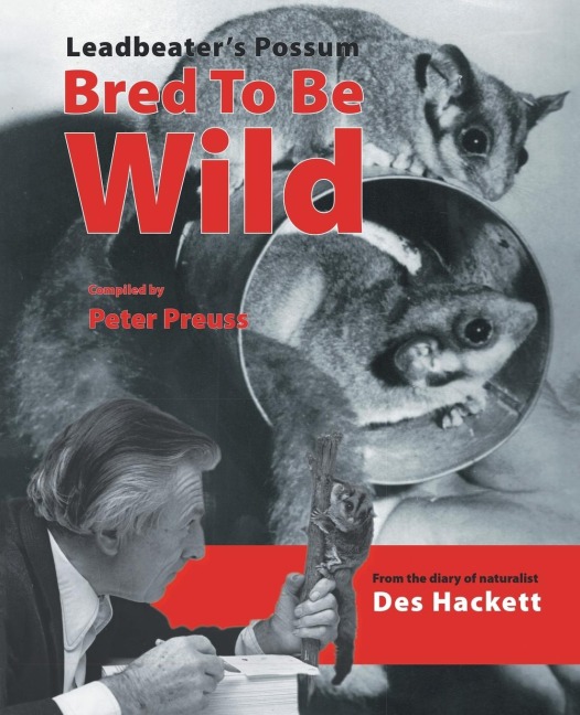 Leadbetters Possum: Bred to Be Wild