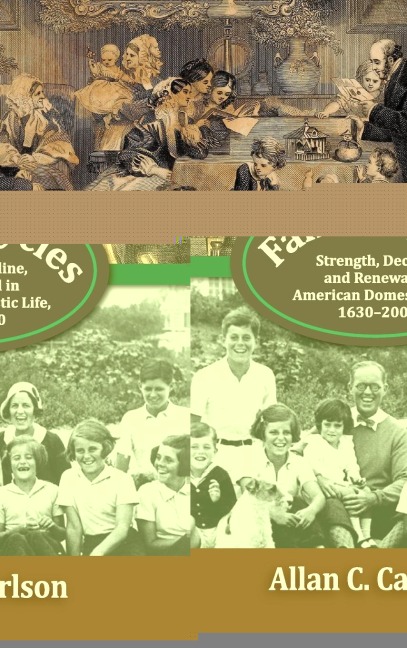Family Cycles: Strength, Decline, and Renewal in American Domestic Life, 1630-2000