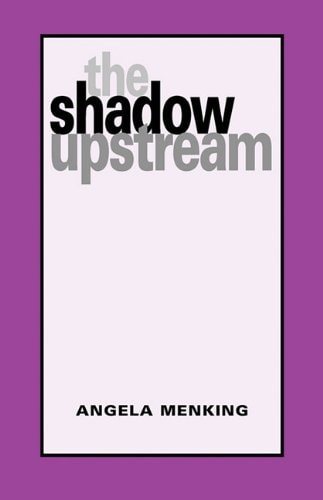The Shadow Upstream
