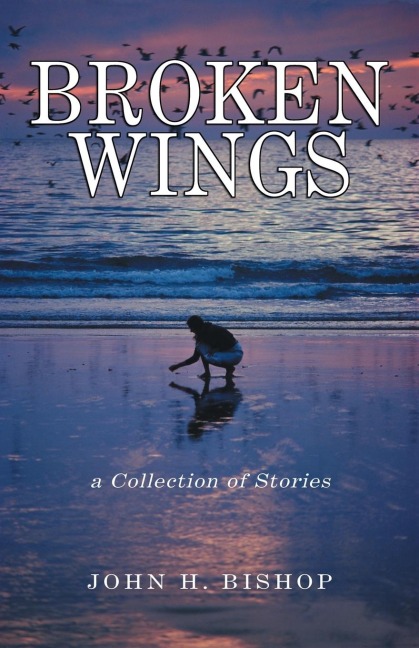 Broken Wings: A Collection of Stories