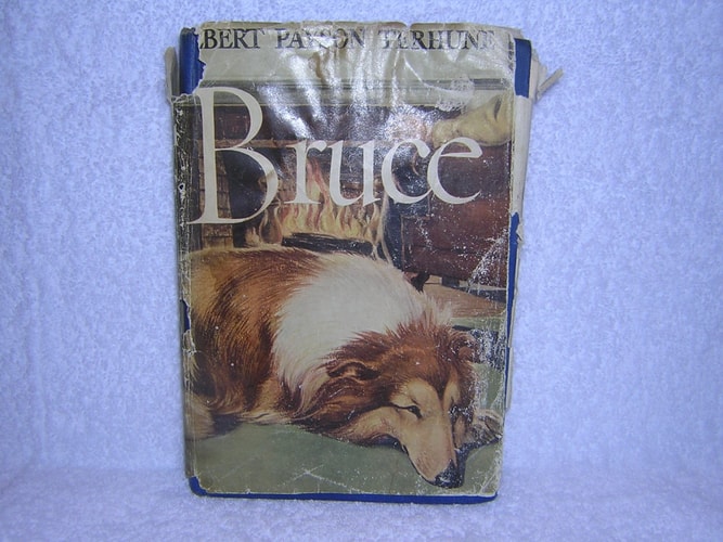 Bruce