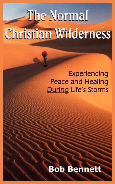 The Normal Christian Wilderness: Experiencing Peace and Healing During Lifes Storms