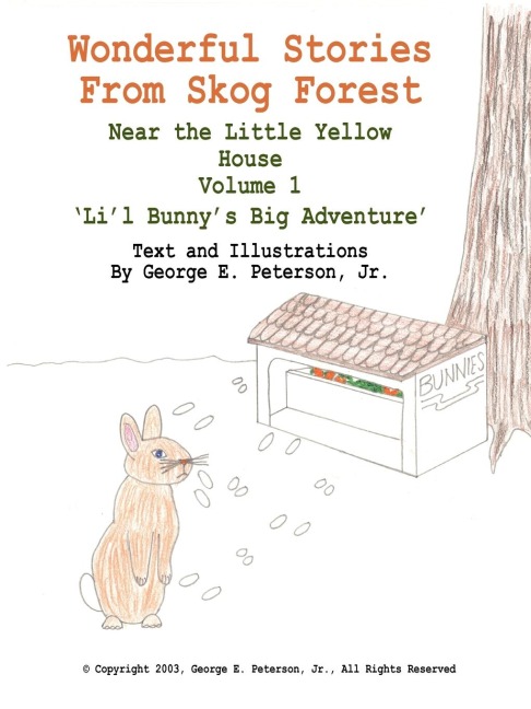 Wonderful Stories From Skog Forest: Near the Little Yellow House Volume 1 Lil Bunnys Big Adventure