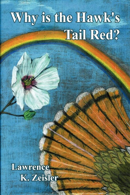 Why is the Hawks Tail Red?