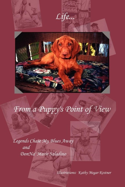 Life from a Puppys Point of View