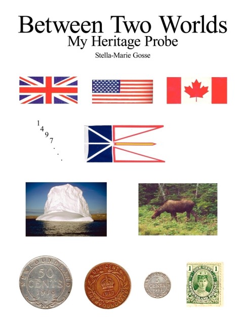 Between Two Worlds: My Heritage Probe