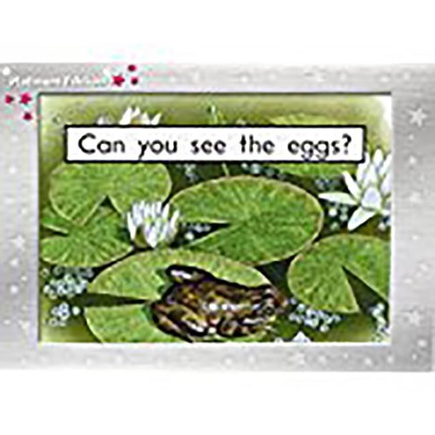 Can You See the Eggs?: Individual Student Edition Magenta (Levels 1-2)