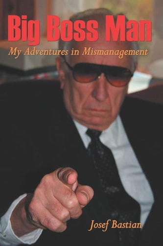 Big Boss Man My Adventures in Mismanagement