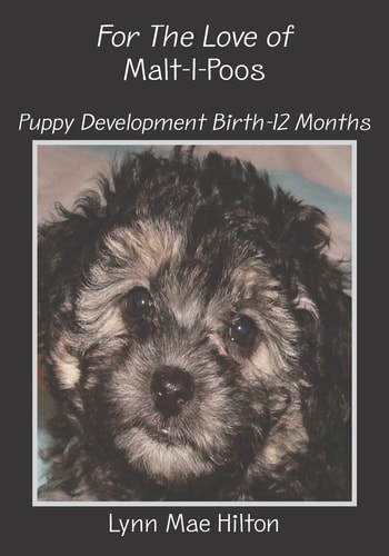 For The Love of Malt-I-Poos Puppy Development Birth-12 Months