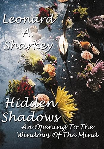 Hidden Shadows An Opening to the Windows of The Mind