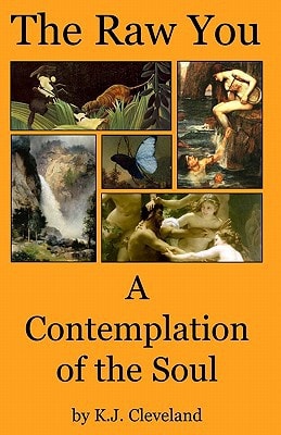 The Raw You A Contemplation of the Soul