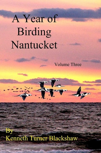 A Year of Birding Nantucket Volume Three