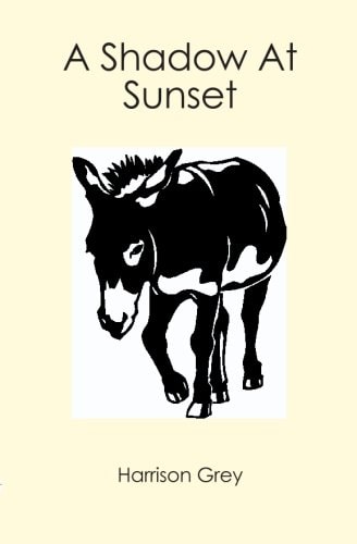 A Shadow at Sunset