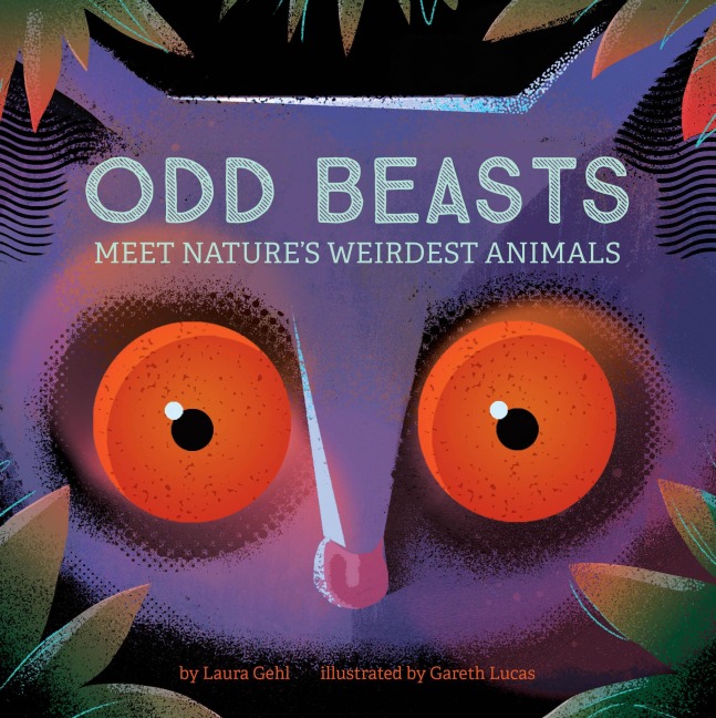 Odd Beasts: Meet Natures Weirdest Animals