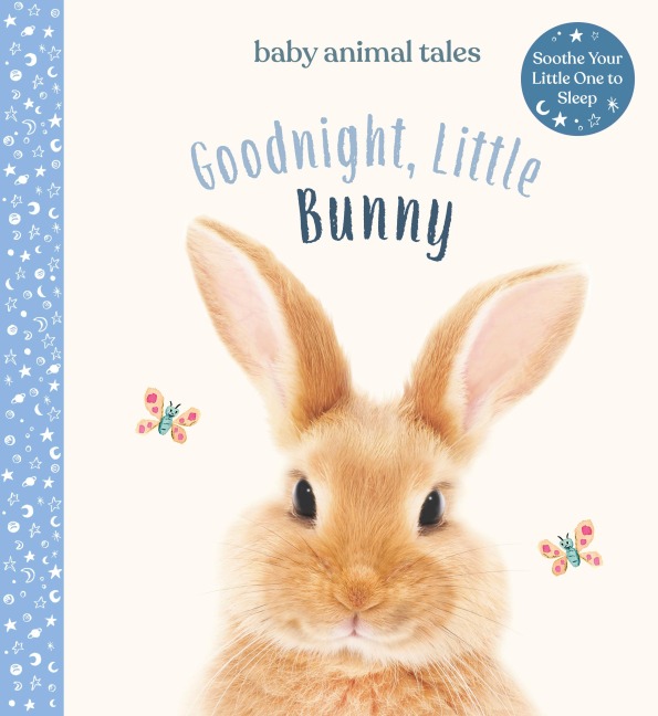 Goodnight, Little Bunny: A Board Book